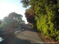 contra costa canal trail