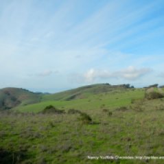 wildcat canyon view