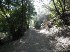alhambra creek trail