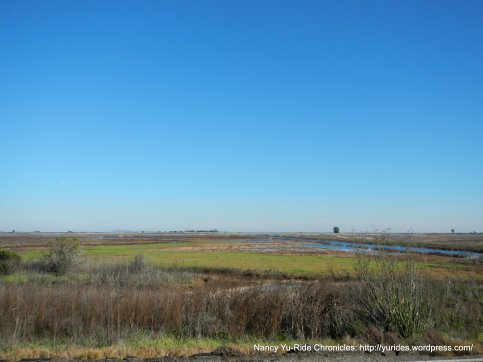 goodyear marshes