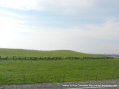 open grasslands