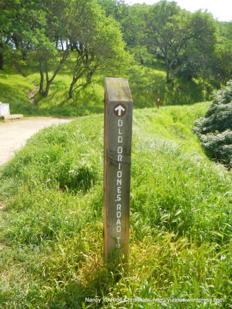 old briones trail