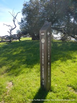 continue on Briones Crest Trail