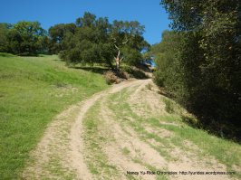 springhill trail