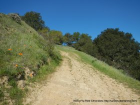 lafayette ridge trail
