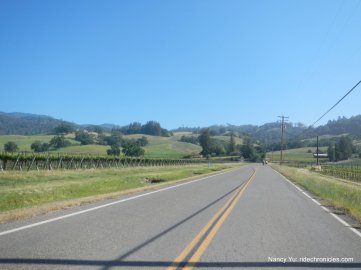red winery rd
