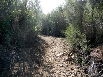 back creek trail