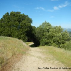 springhill trail