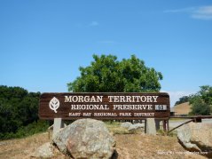 morgan territory regional preserve