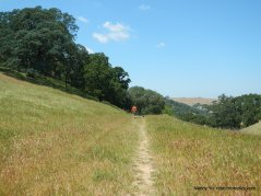 franklin ridge loop trail