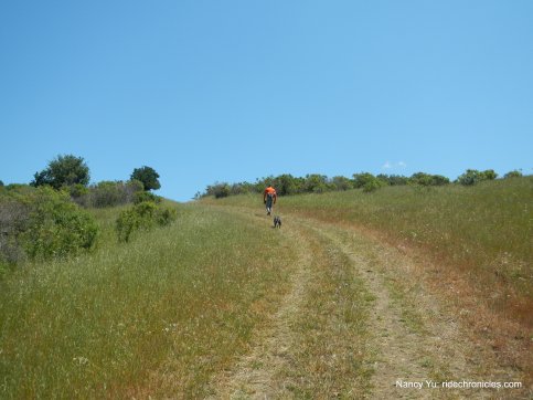franklin ridge trail