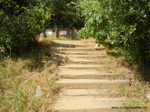 steps to trail gate