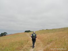 whipsnake trail-upper meadow