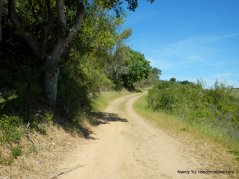 oursan trail