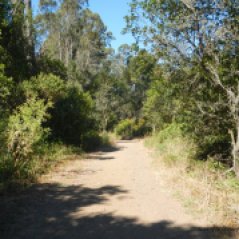 curran trail