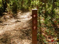 sylvan trail to peak trail