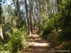 sylvan trail to peak trail
