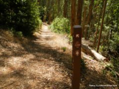 wildcat peak trail