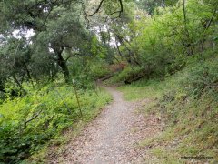 rimer creek trail