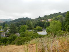 moraga valley
