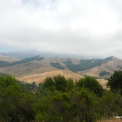 moraga valley-ridges
