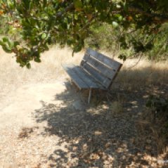 reservoir bench