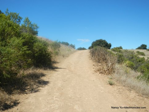 elderberry trail