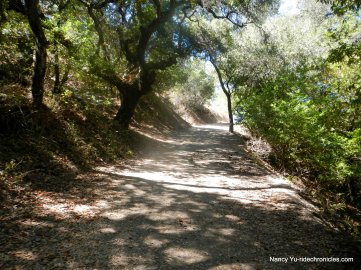 elderberry trail