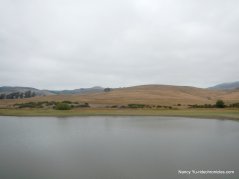 nicasio reservoir
