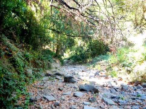 sausal creek
