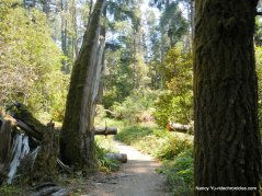 ecological staircase trail