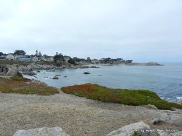 Lovers Point State Marine Reserve area