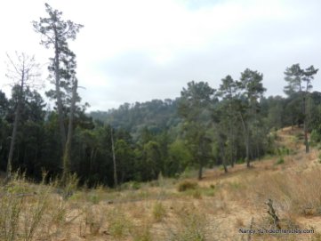 east ridge trail