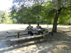 orchard picnic area