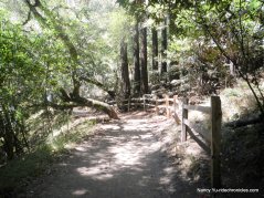 sequoia bayview trail