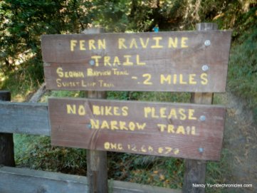 fern ravine trail