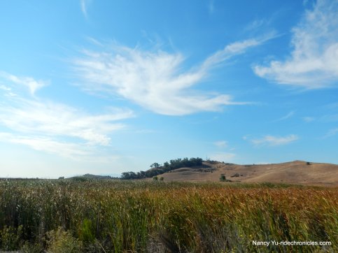 coyote hills park-nike hill