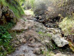 back creek trail