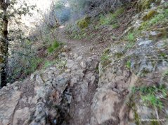 bald ridge trail