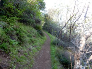 middle trail