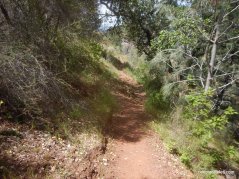 mitchell rock trail
