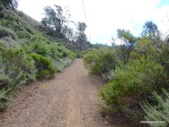 junction trail