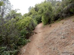juniper trail