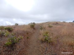 moses rock ridge trail