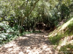 clyma trail
