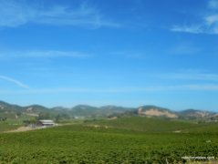 carneros valley