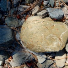 geological rock