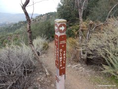 wasserman trail