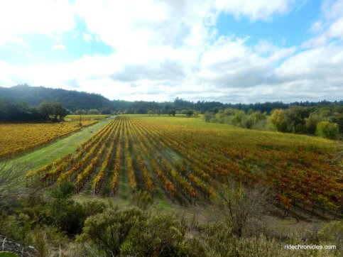 russian river valley