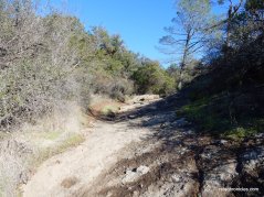 oat hill mine trail